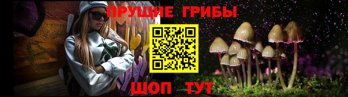 Павловский Посад  Псилоцибиновые грибы прущие грибы  как найти   Вход с VPN 